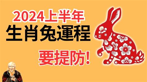 2024生肖兔運勢|2024年属兔人的全年运势 属兔人2024年每月运势及运程详解